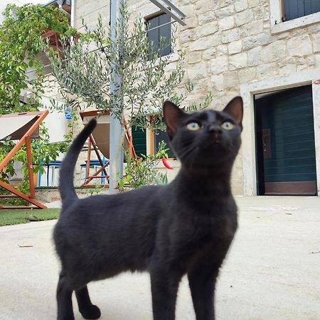 Apartmani Peljesac Sova Сресер Екстер'єр фото